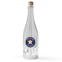 Houston Astros Skyline Series Silver Bubbly 3 Pack