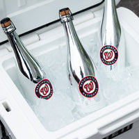 Washington Nationals Skyline Series Silver Bubbly