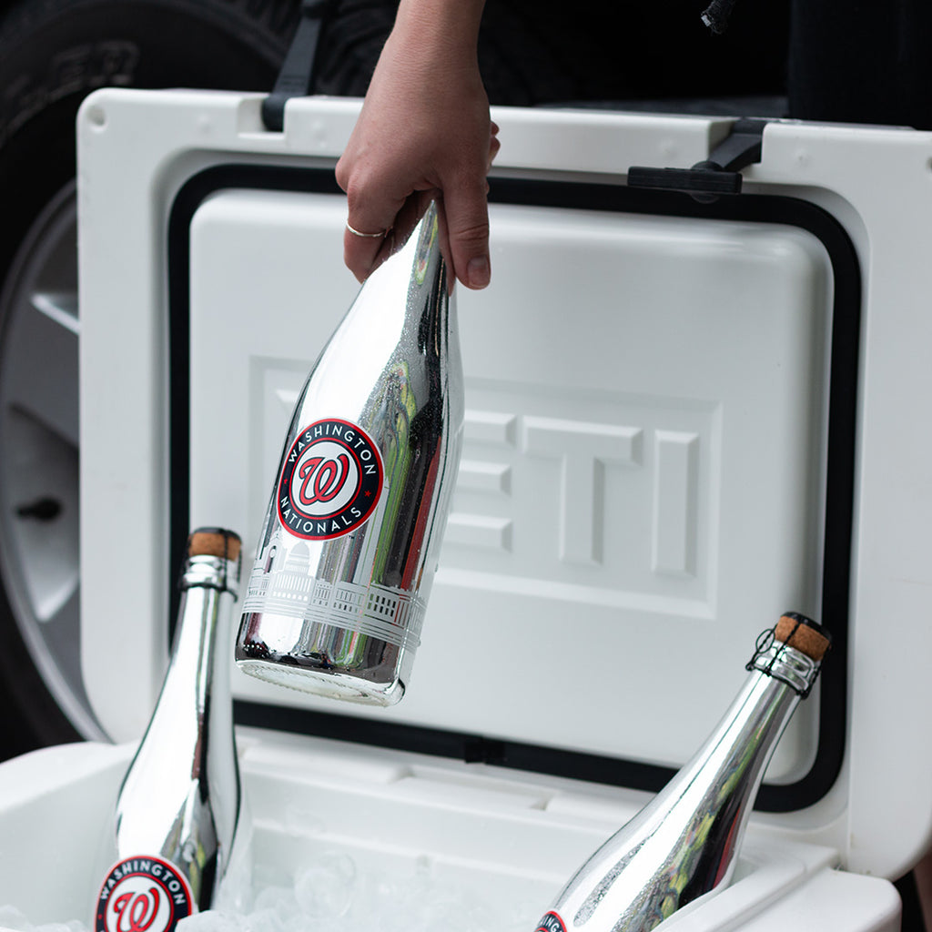 Washington Nationals Skyline Series Silver Bubbly