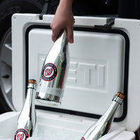 Washington Nationals Skyline Series Silver Bubbly