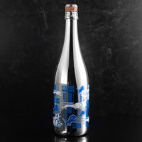 Detroit Lions Logo Evolution Metallic Silver Bubbly 3 Pack