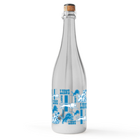 Detroit Lions Logo Evolution Metallic Silver Bubbly 3 Pack