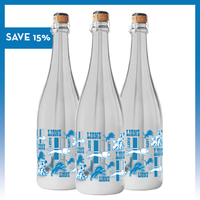 Detroit Lions Logo Evolution Metallic Silver Bubbly 3 Pack